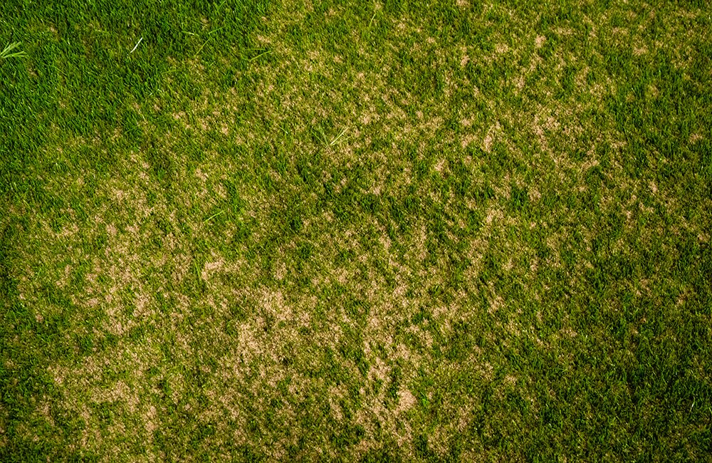 Granulat förbjuds – öppnar för fler ”sandplaner” i svensk fotboll