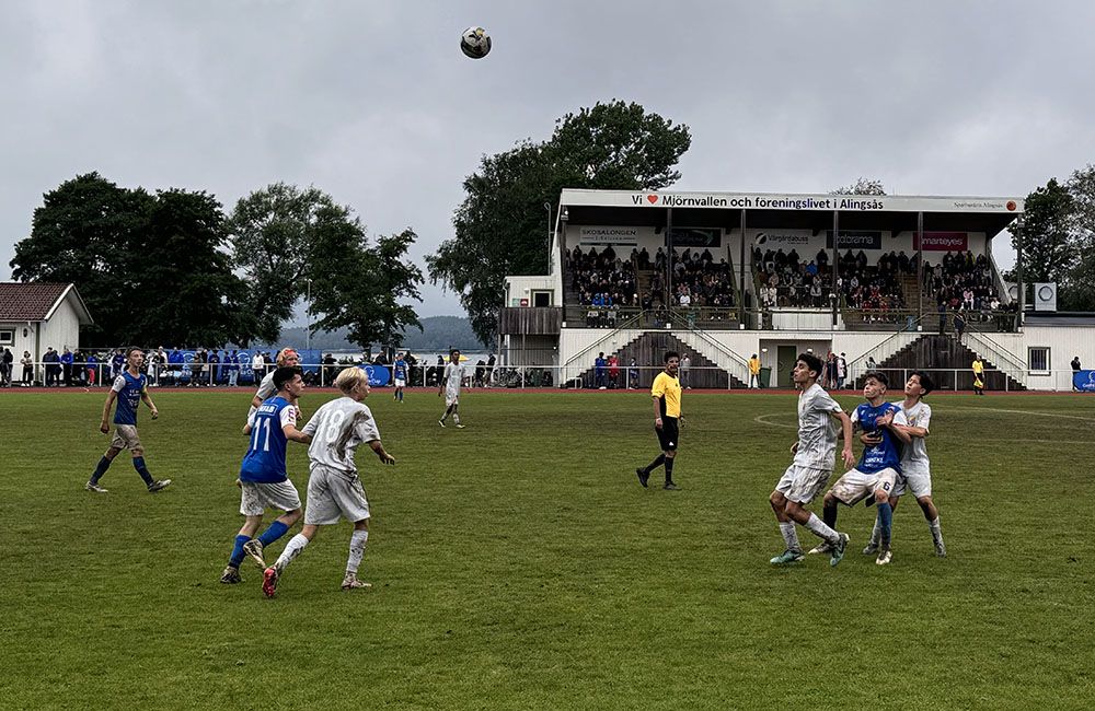 Djurgårdens kross i gyttjan – ”Vi visar järnkamin”