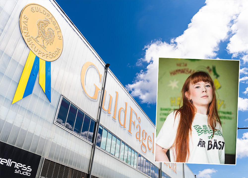 Polisteorin: Saga, 23, hade dolda avsikter med sin anmälan